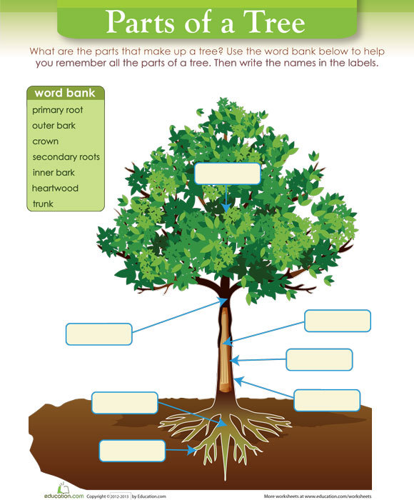 Uses of trees